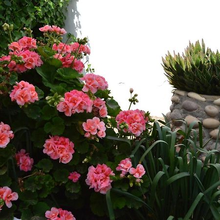 Nostos House Villa Triovasálos Екстериор снимка